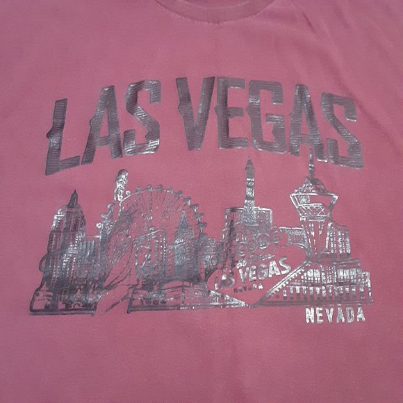 Delta Pro Weight Men's Las Vegas Nevada Short Sleeve T Shirt in Size L - Picture 2 of 5
